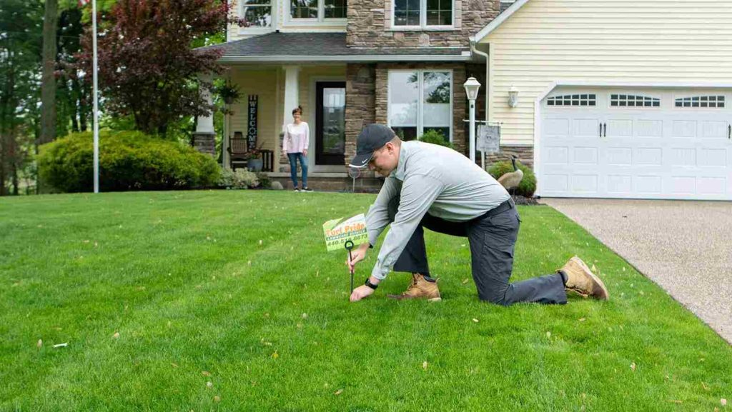 Lawn care SEO