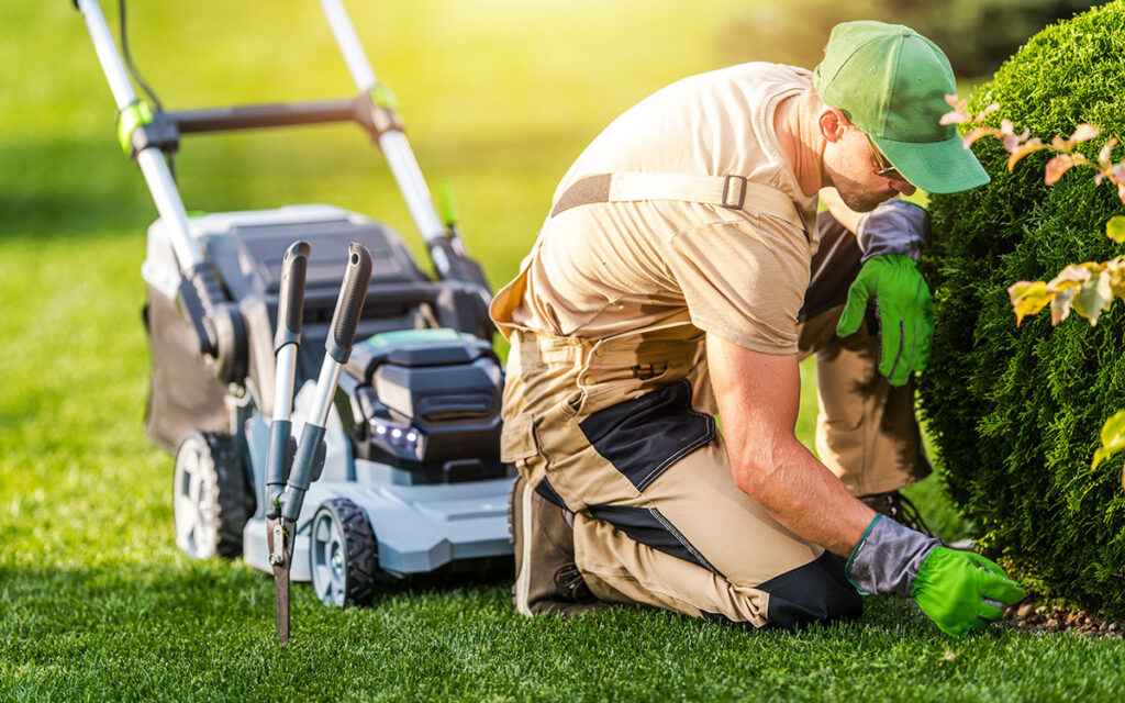 SEO for landscapers