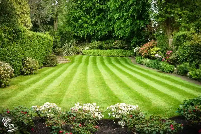 You are currently viewing SEO for London Landscaping Company: Beat Competitors in Search